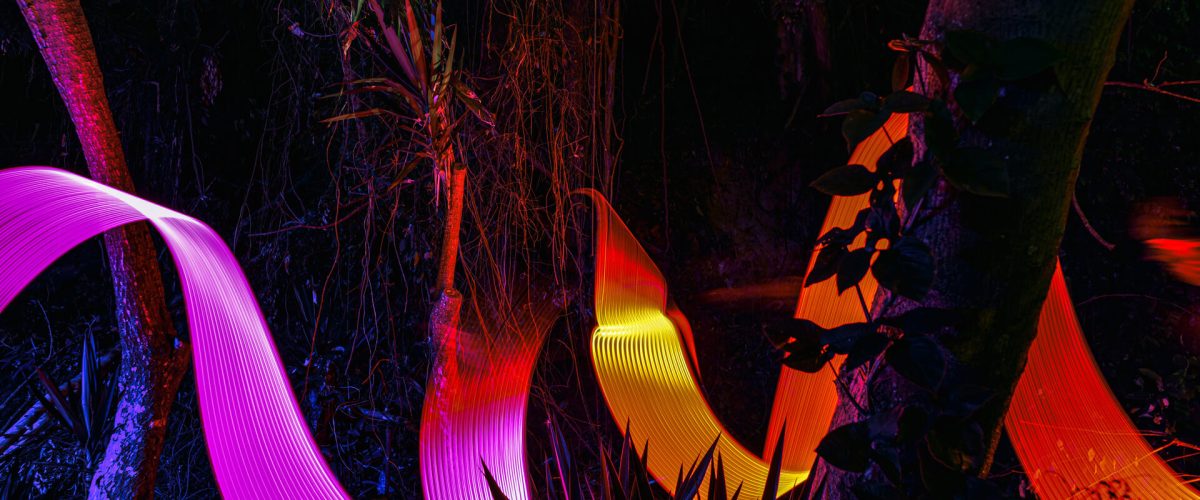 Floresta noturna com efeitos de luz vibrantes em rosa, vermelho e amarelo, criando formas sinuosas e contrastando com a escuridão, gerando um ambiente artístico e misterioso.